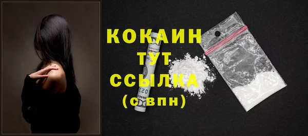 Альфа ПВП Инта
