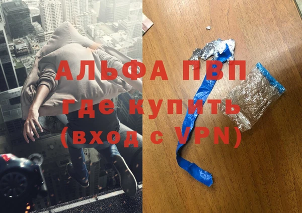 гидра Алексин